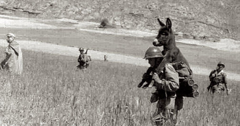 The Donkey & the Soldier - Review Your Business Interruption Insurance