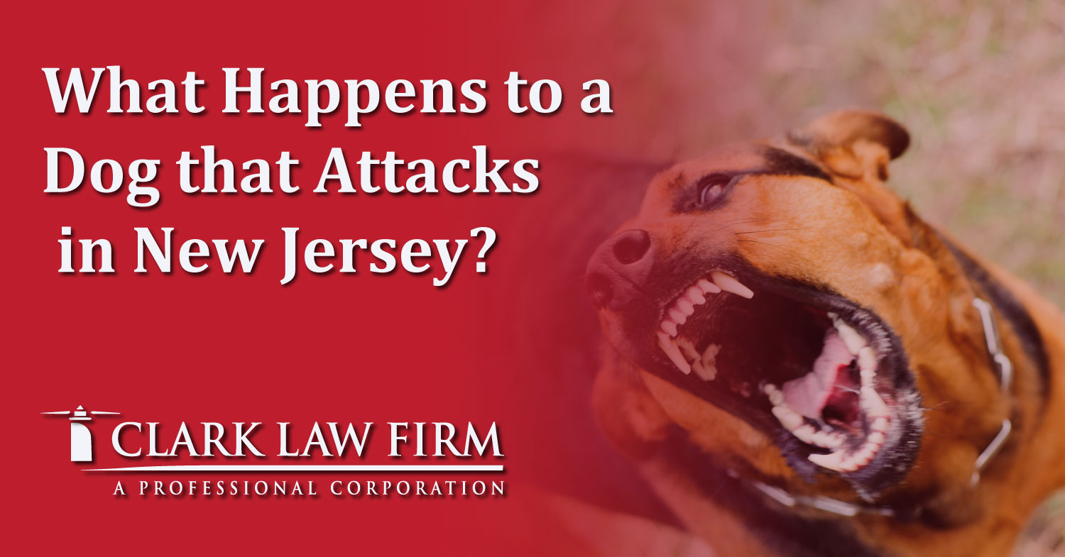 What Happens to a Dog that Attacks in New Jersey? Clark Law Firm